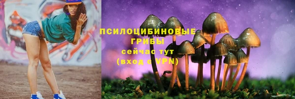 гидра Белоозёрский