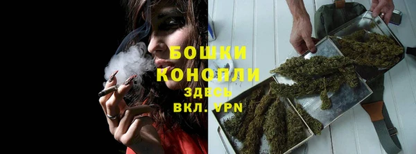 тгк Беломорск