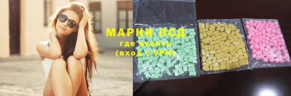 гидра Белоозёрский