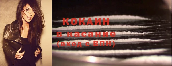 гидра Белоозёрский