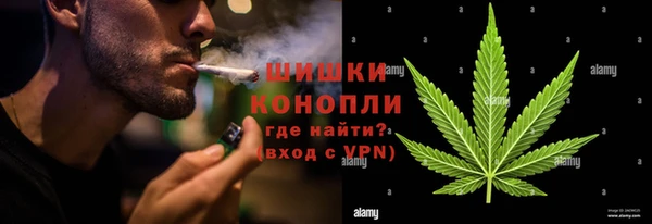ECSTASY Белокуриха