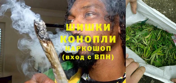 ECSTASY Белокуриха