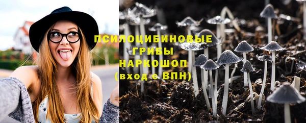 ECSTASY Белокуриха