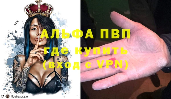 ECSTASY Белокуриха