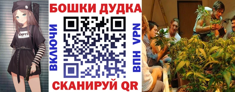 где можно купить Чаплыгин Бошки Шишки планчик
